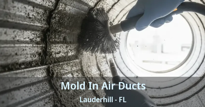 Mold In Air Ducts Lauderhill - FL
